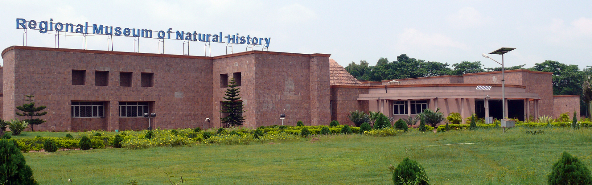 RMNH Bhubaneswar [Odisha]